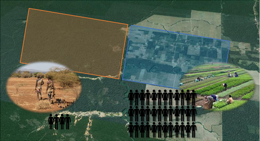 Image of farm fields that have a larger carrying capacity when used for agriculture compared to using the same land for foraging