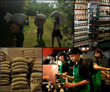 Images of workers preparing coffee in the fields and in the coffee shop