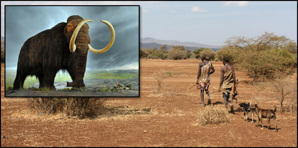 Image of a woolly mammoth, a species possibly hunted to extinction in North America