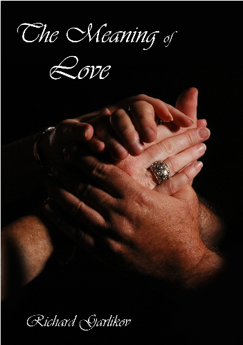 Cover image for The Meaning of Love 