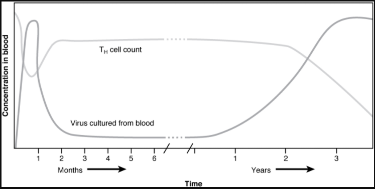 Graph on HIV progression