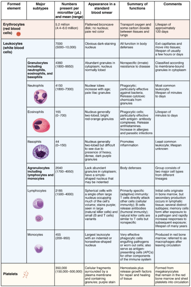 Table that summarises formed elements in blood