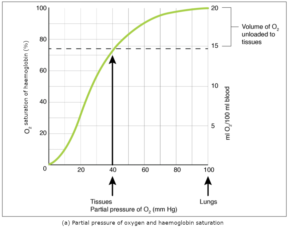 Graph pf partil pressure of oxygen and gaemoglobin saturation