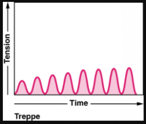 Treppe graph
