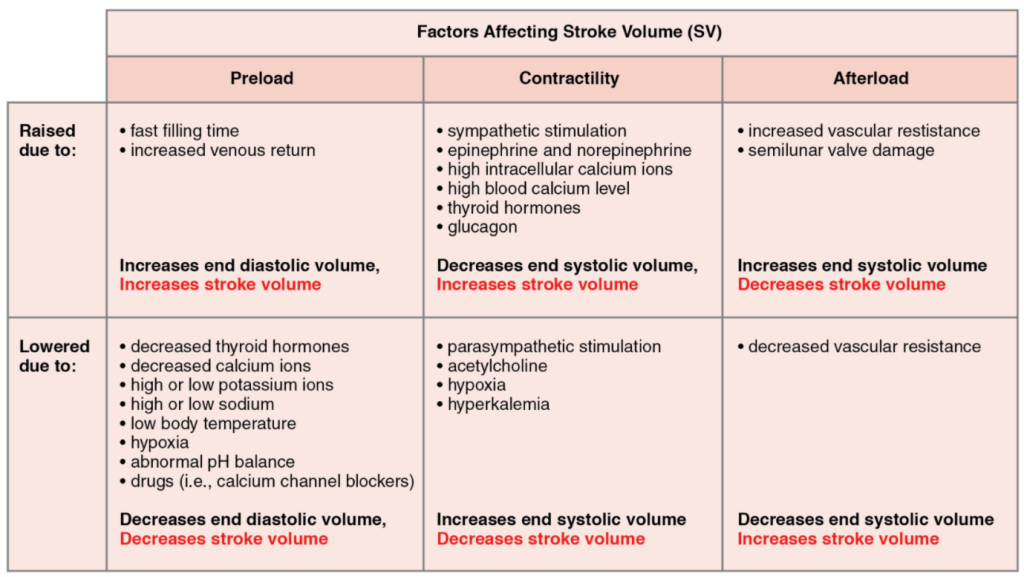 Major factors influencing stroke volume. Multiple factors impact preload, afterload, and contractility, and are the major considerations influencing SV.