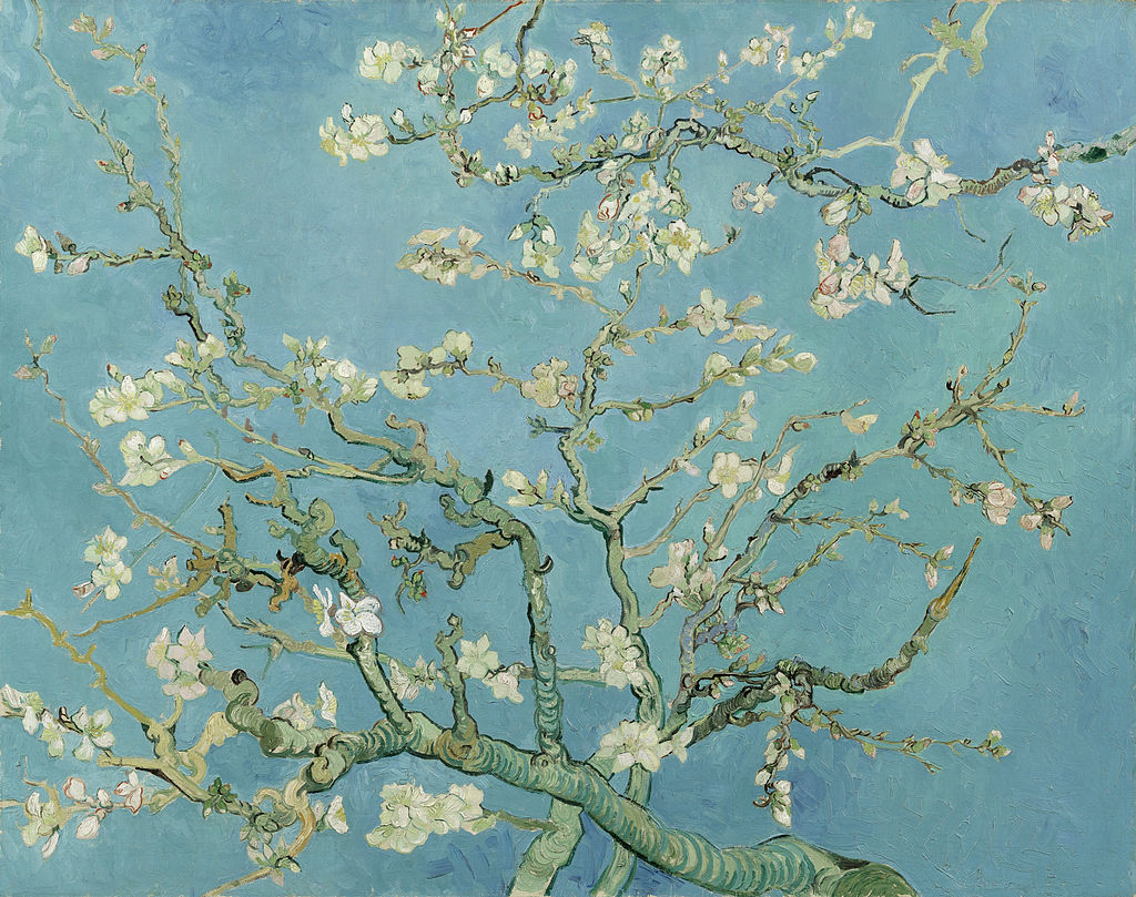 Cover image for Phelps: Art Appreciation
