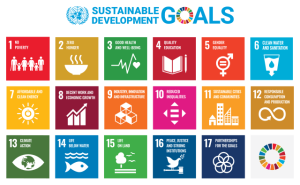 14.5 Sustainable Development Goals