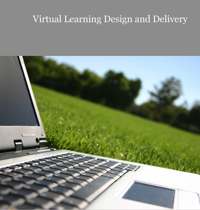 Cover image for Virtual Learning Design and Delivery