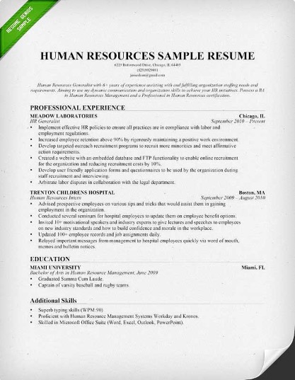 chronological Résumé sample