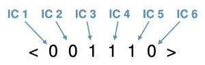 the IC vector , with arrows pointing to each digit in the vector and labelling them IC 1, IC 2, IC 3, IC 4, IC 5, and IC 6.