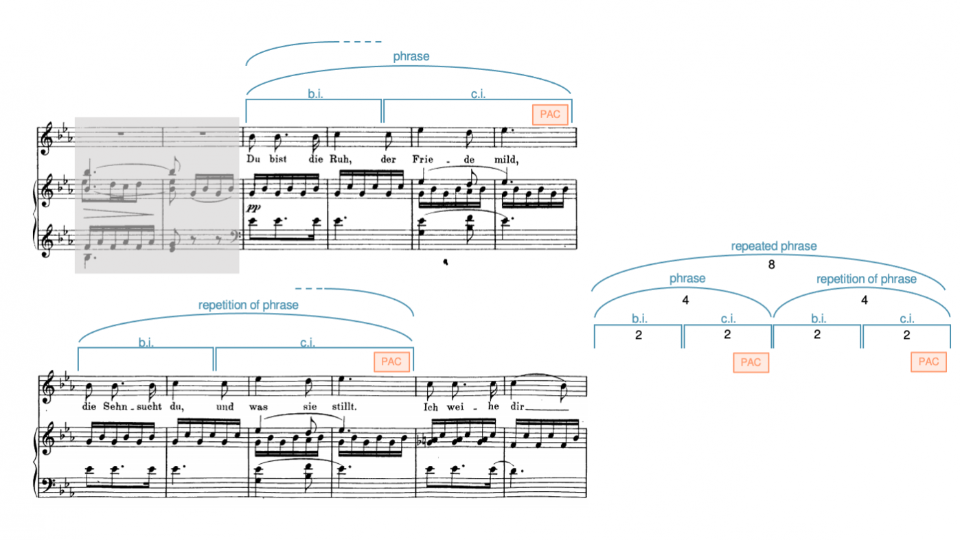 Analysis of the first two phrases of Schubert's "Du bist die Ruh" as a repeated phrase.