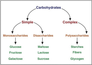 Carbohydrates are categorized by their chemical structures into simple and complex. Simple carbohydrates are made of one or two saccharides, complex are composed of many saccharides. Monosaccharides are glucoses, fructose, and galactose. Disaccharides are maltose, lactose, and sucrose. Polysaccharides are starches, fibers, and glycogen.