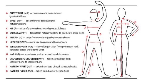 Image showing locations of various body measurements used for circumference measurements. For our purposes, the waist measure and hip measure are most important. Waist circumference is measured at the natural waistline usually just above the belly button; hip circumference is measured at the largest fullness of the area