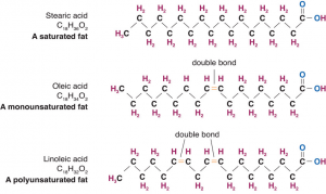 Saturated fatty acids like stearic acid have no double bonds in the carbon chain; monounsaturated fatty acids like Oleic acid have one double bond; polyunsaturated fatty acids have two or more double bonds