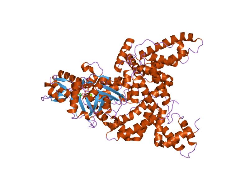 Diagram of the structure of albumin