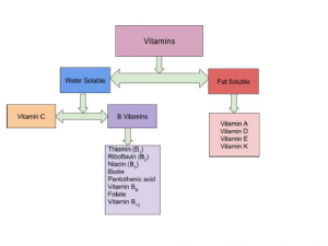 Vitamins are categorized by their solubility. Water soluble vitamins are all of the B vitamins and vitamin C. Fat soluble vitamins are A, D, E, and K.