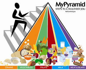 MyPyramid Food Guide - developed in 2005