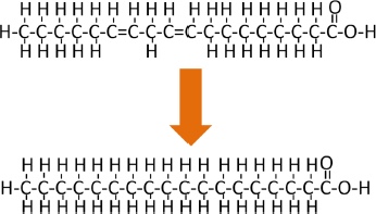 Fatty Acid Hydrogenation: as hydrogens are added, one of the bonds in a double bonded C=C becomes attached to the extra hydrogen instead. This makes it more saturated and stable.