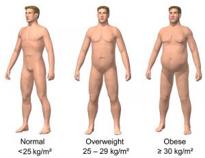 Diagram of figures with various BMIs: Normal, overweight, and obese.