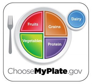 Choose My Plate diagram showing a plate split into four groups: fruits, vegetables, grains, protein. The vegetables and grains section are each about 30% of the plate, fruits and protein are each about 20% of the plate. Next to the plate is a circle showing Dairy