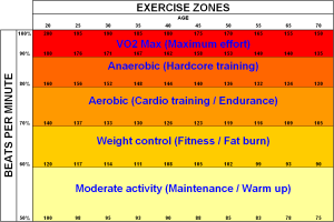 Target Heart Rate Zones ranging from moderate activity to weight control to aerobic training to anaerobic training to maximum effort.