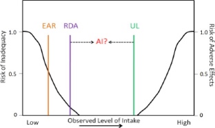 Graph showingThe AI compared to the other DRI components. The questions mark and dotted line are meant to indicate that it is not known exactly where the AI would fall relative to an RDA if one was set.