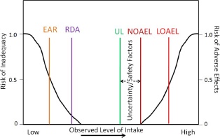UL is set between the RDA and the NOAEL