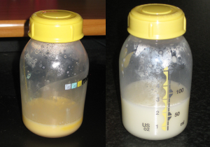 Photo of colostrum which looks gold and thick, and breastmilk which looks white and thinner