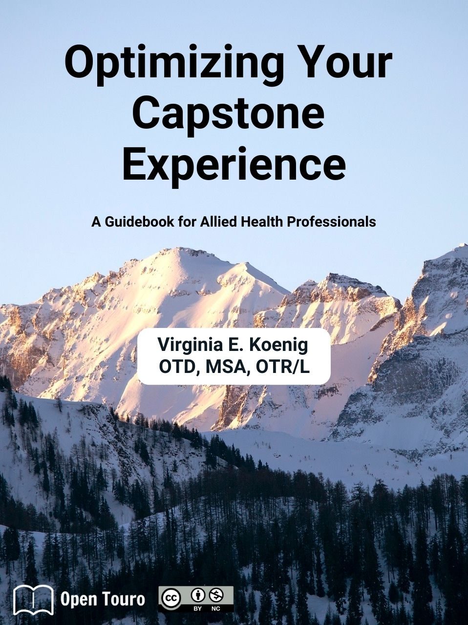 Cover image for Optimizing Your Capstone Experience: A Guidebook for Allied Health Professionals