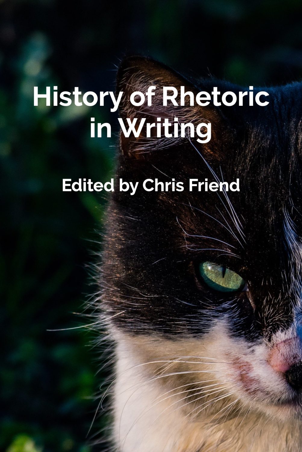 Cover image for History of Rhetoric in Writing