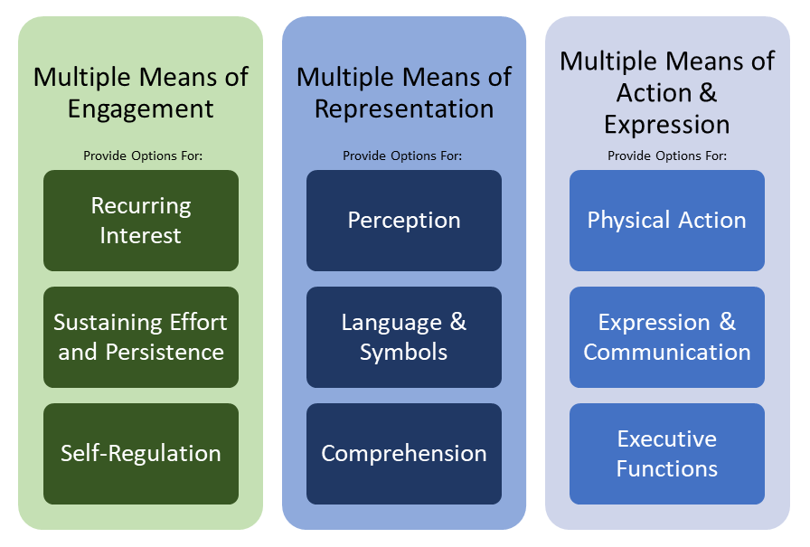 Universal Design for Learning Principles (CAST, 2023 a, b)