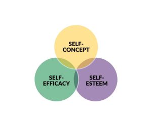 A Venn diagram showing the overlap between self-concept, self-efficacy, and self-esteem.