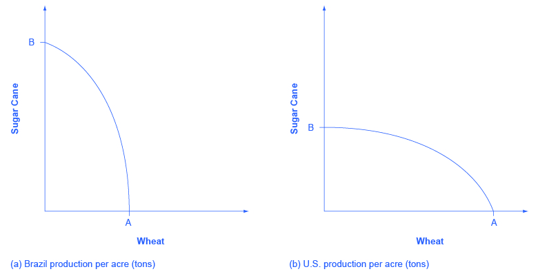 This graph shows two images. Both images have y-axes labeled “Sugar Cane” and x-axes labeled “Wheat.” In image (a), Brazil’s Sugar Cane production is nearly double the production of its wheat. In image (b), the U.S.’s Sugar Cane production is nearly half the production of its wheat.