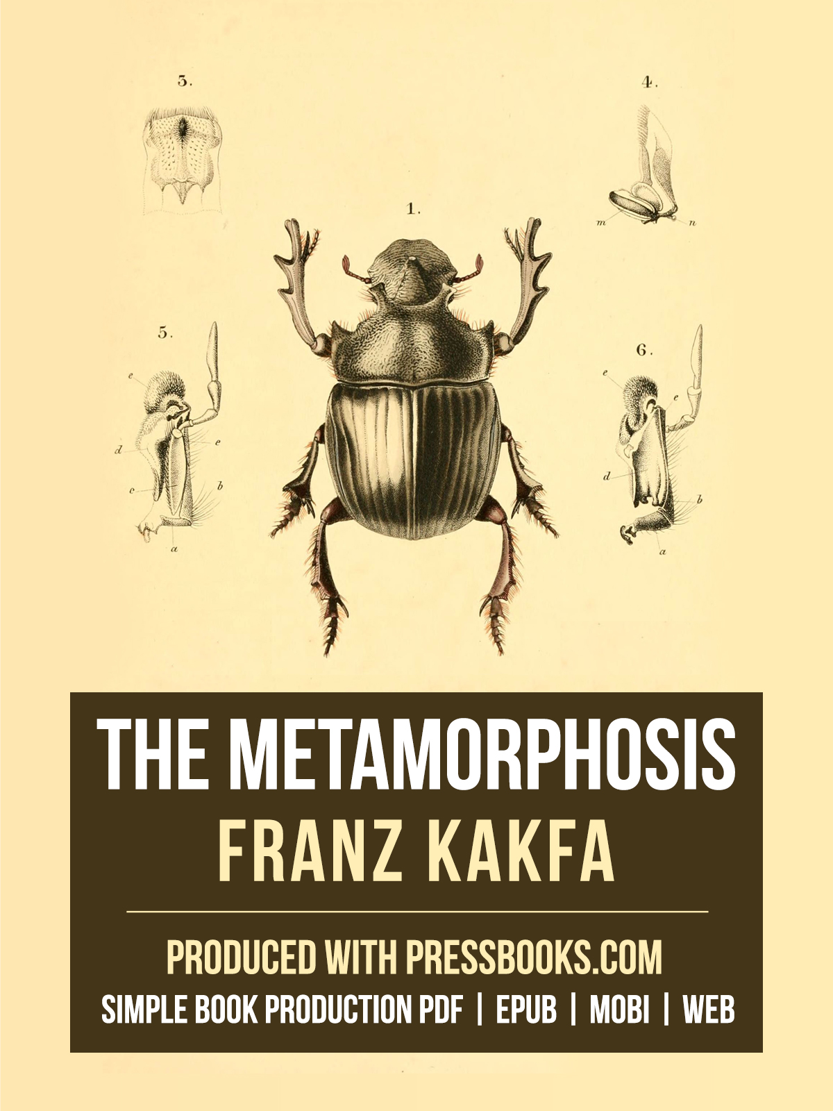 Cover image for Metamorphosis 
