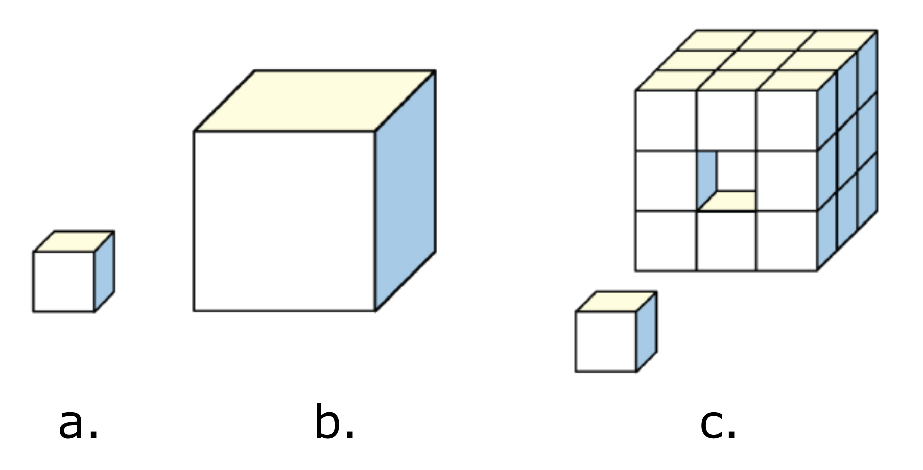 A small cell (image a), has a larger surface area to volume ratio than a bigger cell (image b). In order to imaintain a large surface area to volume ratio, certain organisms become multicellular (image c).
