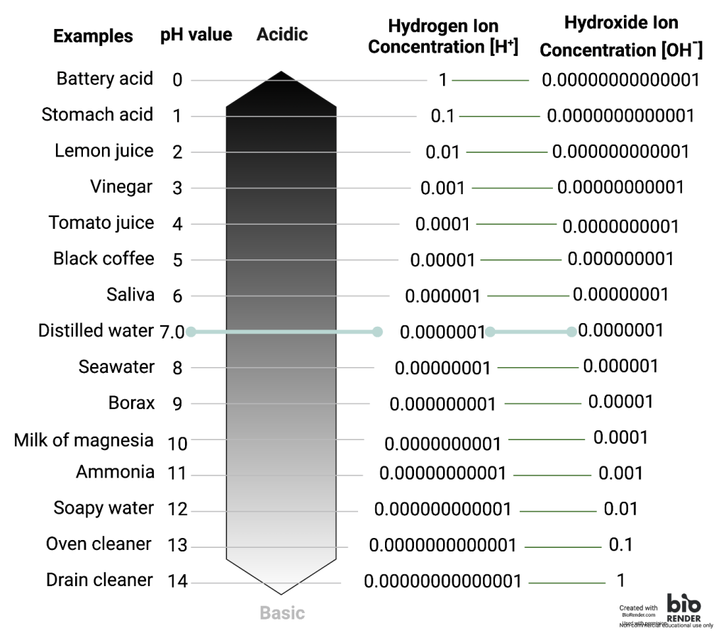 Image shows the pH scale with examples at each integrer pH value. Also shown is the concentration of hydrogen ions and hydroxide ions.