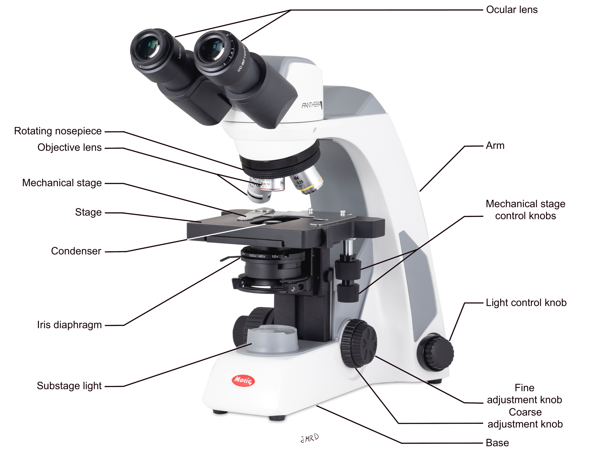 Bellathadoll: Under The Microscope - l763quq