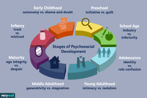 Stages of Human Development from Infancy to Maturity