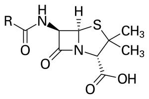 Chemical structure of the Penicillin core